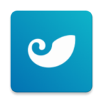 BCH钱包交易与数据管理全