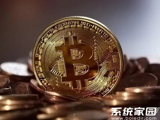 inj交易所终端界面