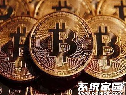 币印矿池操作界面展示