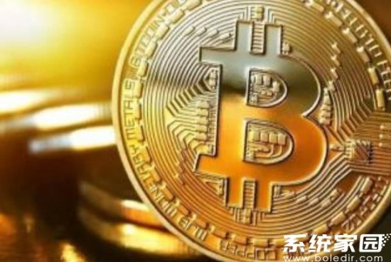 智能合约平台代表