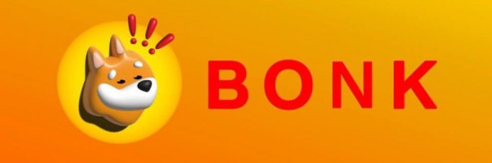 bonk币创始人背景解析及团队发展概述