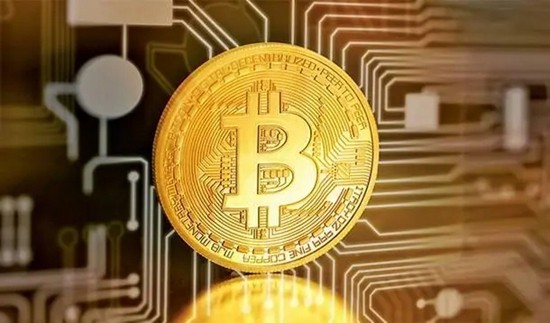 维卡币市场价值评估报告