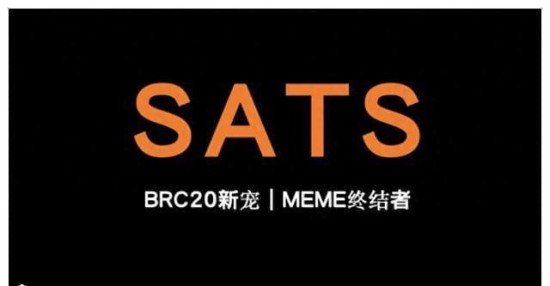 SATS币今日价格走势及长期持有价值分析