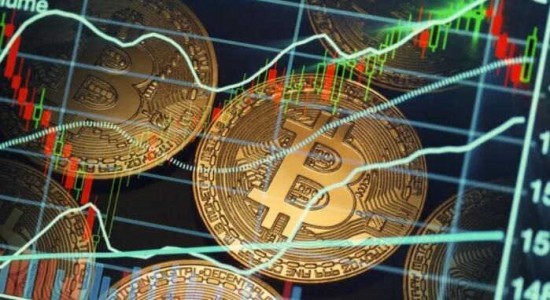 派币2024年8月官方动态与市场风险分析