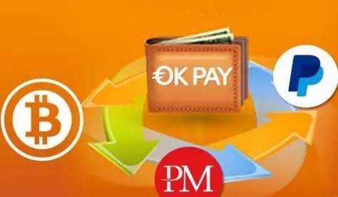 OKPAY钱包操作界面示意图