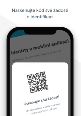 gopay钱包网页版