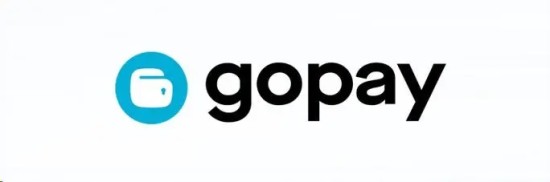 Gopay钱包客服功能异常示意图