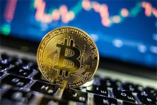 波币钱包移动端应用下载指引