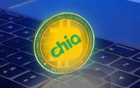 奇亚币2025年核心战略与生态建设