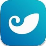 BCH交易所安卓版便捷入口