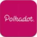 Polkadot交易所2024移动端正式上线