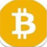 BSV钱包苹果版安全高效管理平台v1.6.0 官网版