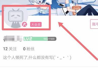 哔哩哔哩大会员自动续费关闭教程