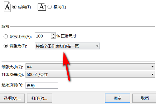 Excel转PDF单页显示设置技巧