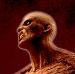 僵尸大冒险中文版苹果免费下载安装v2.1 中文版