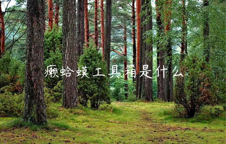癞蛤蟆电商工具箱核心功能解析