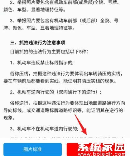 举报须知展示图