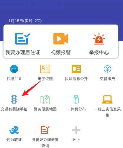 政务平台操作界面示意图