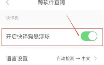 悬浮球参数设置界面示意图