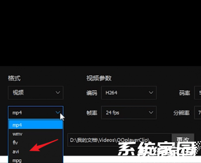 格式选择设置界面