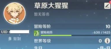 游戏UID界面示意图
