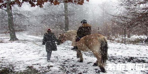 ps如何制作下雪效果