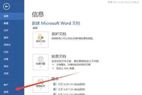 Word高级设置界面示意图