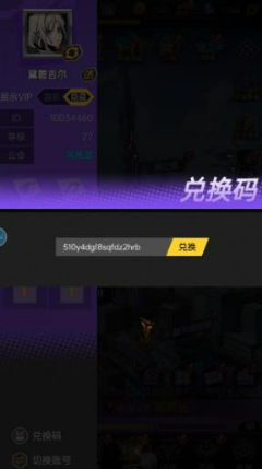 代码输入界面示意图