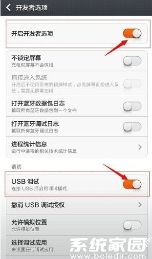 开发者选项设置界面