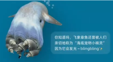 深海飞象章鱼与泰坦尼克号之谜