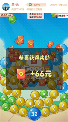2048u6ce1u6ce1u7403u5185u6d4bu7248