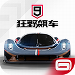 狂野飙车9无限资源极速v4.1.0r 无限蓝币版