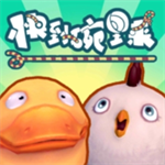 快到碗里来全新版本正式上线v12 完结版