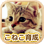 3D猫咪养成免费版温馨互动