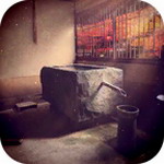 花鸟风月解谜脱出游戏v1.0.2 无限金币版