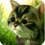 猫咪追寻奇幻冒险免费畅玩v0.91 无限金币版