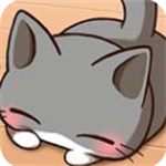 猫部屋解谜治愈萌猫大冒险