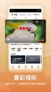 央视频功能界面