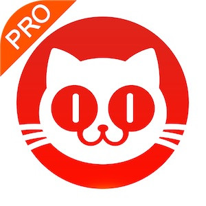猫眼专业版影视数据服务工具