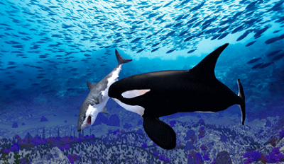 u864eu9cb8u6a21u62dfu5668u65e0u9650u7ecfu9a8cu7248