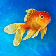 海洋世界自由经营3D水族馆模拟器