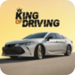 驾驶之王免费版全解锁竞速