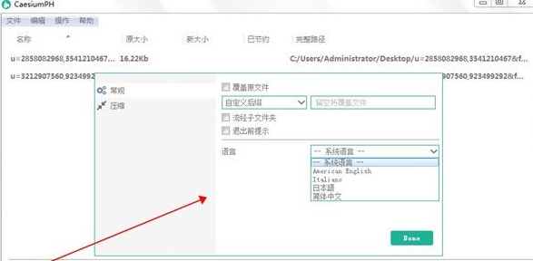 软件界面示意图