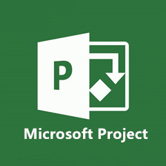 Microsoft Project项目管理核心功能与技巧