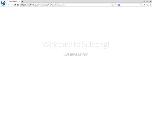 浏览器界面示意图