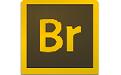Adobe Bridge CS6