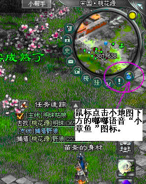 功能演示